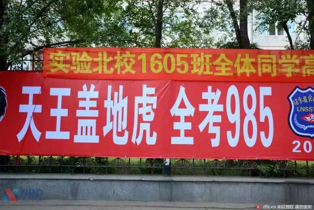 1469380661844653.jpg 15.jpg