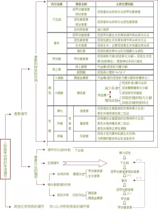 激素,体液,神经调节,久违的知识点又出现啦!
