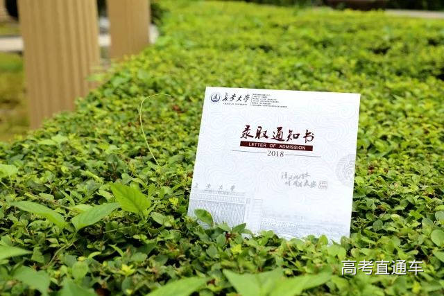 1530906774275226.jpg image005.jpg