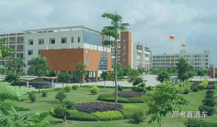 1551752301818360.jpg 5.jpg