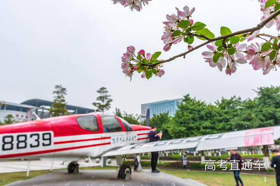 中国民航飞行学院 春暖花开时节,在中国民航飞行学院校园里,人们纷纷在教学楼前的退役训练飞机处,合影留念。张杰/摄