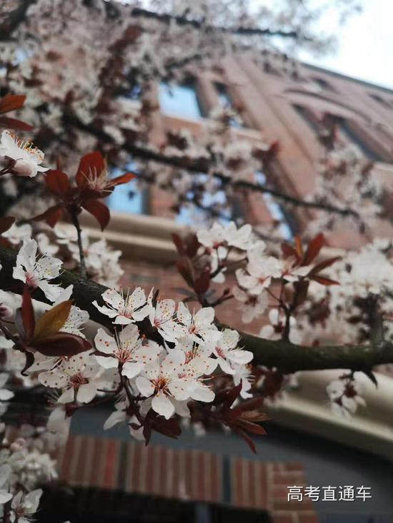 浙江大学海宁国际校区 张燕青/摄