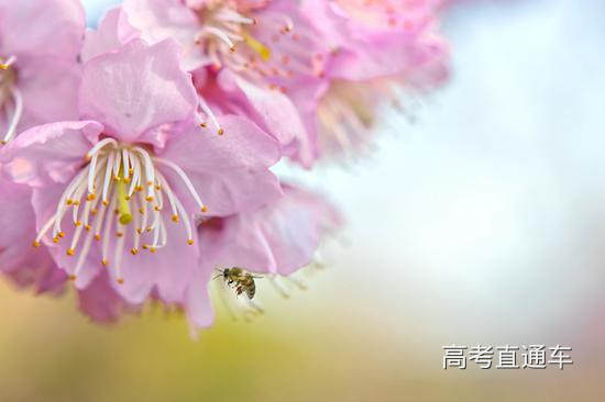 上海交通大学 南洋通讯社/摄