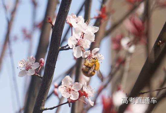 湖南大学 综合楼门口一景 崔蓝歌/摄