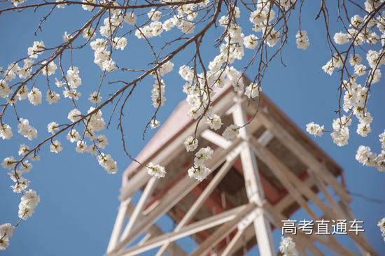 中国地质大学(北京) 廖雅敏/摄