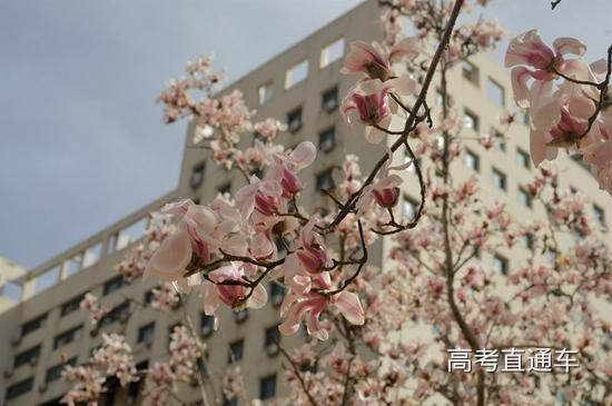 对外经贸大学 田天洋/摄