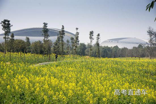 电子科技大学 陈伟/摄