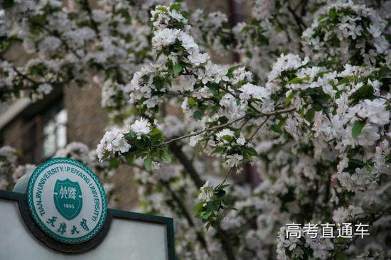 天津大学 供图天津大学宣传部