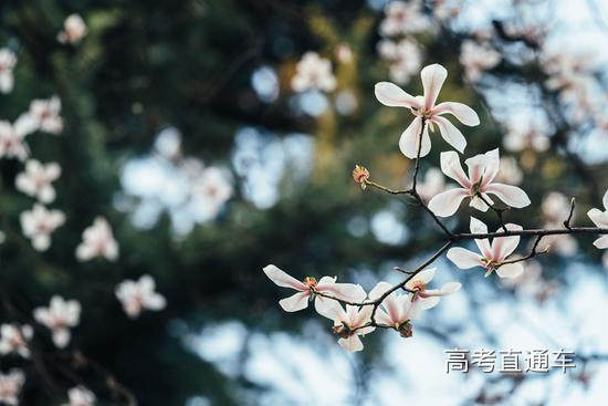 西北大学 马骞/摄