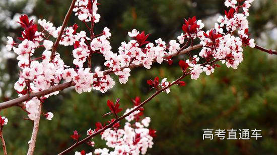 中国石油大学(北京)晓春 董刚/摄