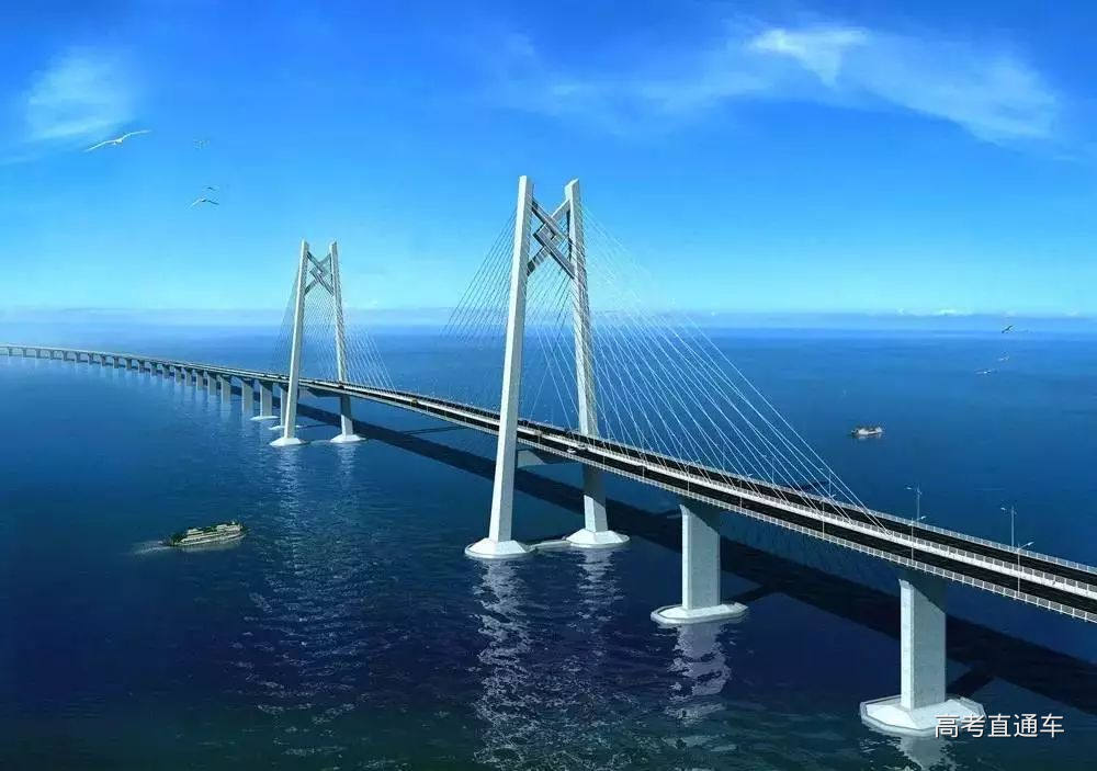 1554084713843946.jpg 1.jpg