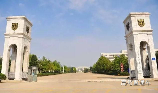 1554715047540074.jpg 9.jpg