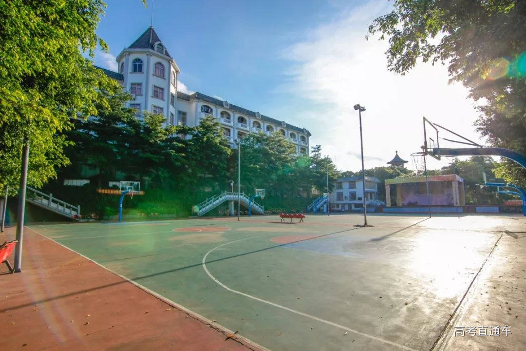 1559312973885285.jpg 05.jpg