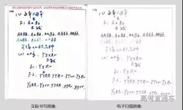 1559787188276258.jpg 88.jpg