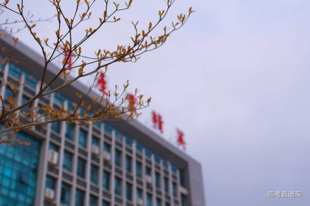 1560220076499982.png 图片.png