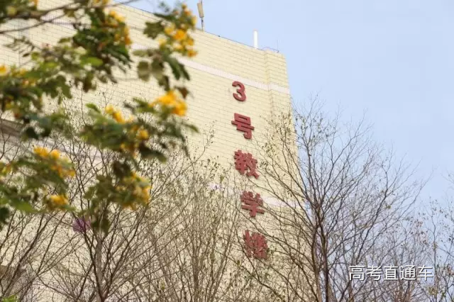 1560220086339583.png 图片.png