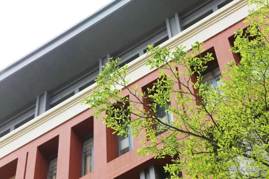 1560244987529327.png 图片.png