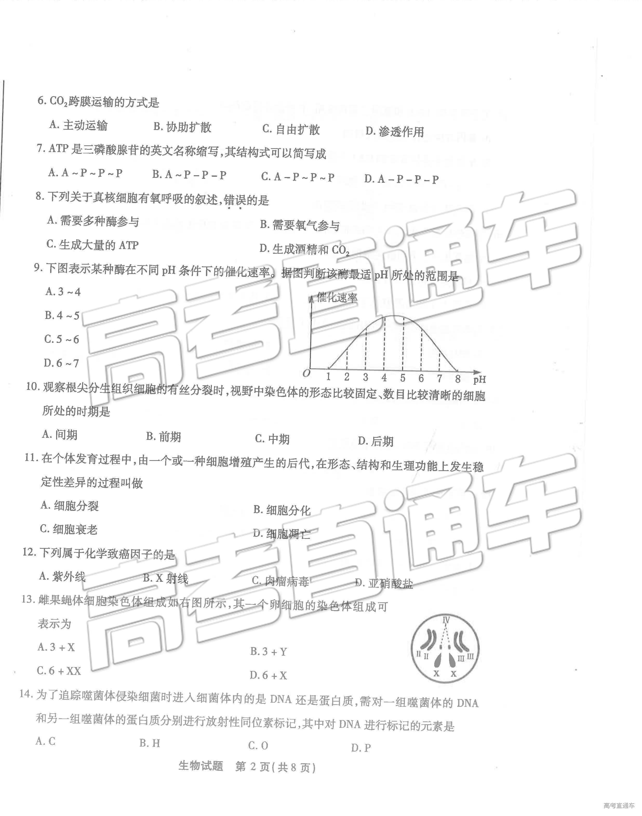 1560417185176483.jpg
