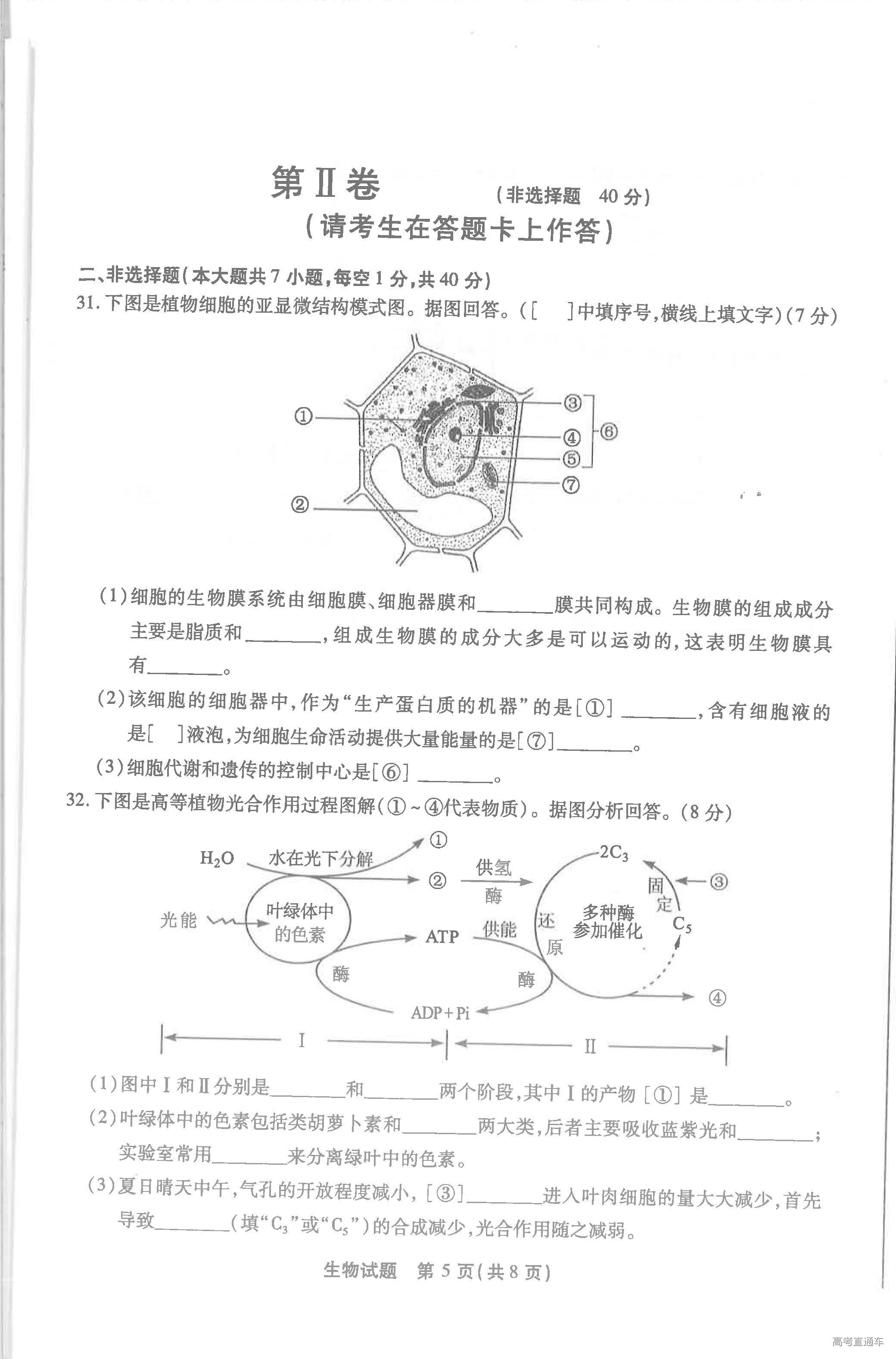 1560417186520058.jpg