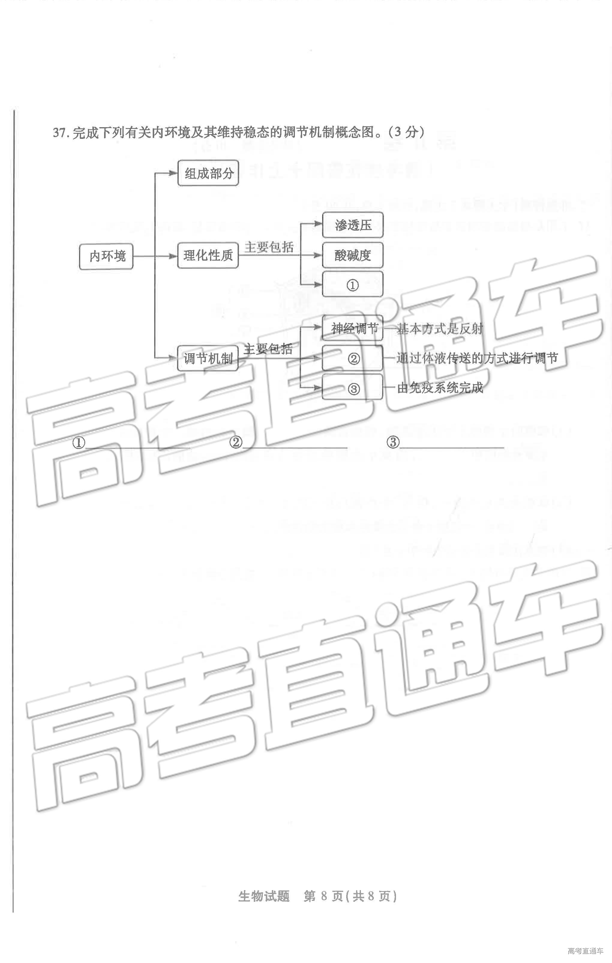 1560417285906830.jpg 8.jpg