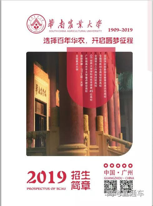 1560703577327384.jpg 00.jpg