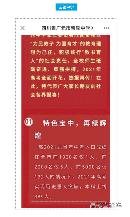 2021年宝轮中学高考喜报