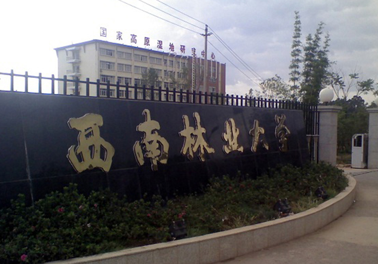 西南林业大学