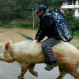 用户头像