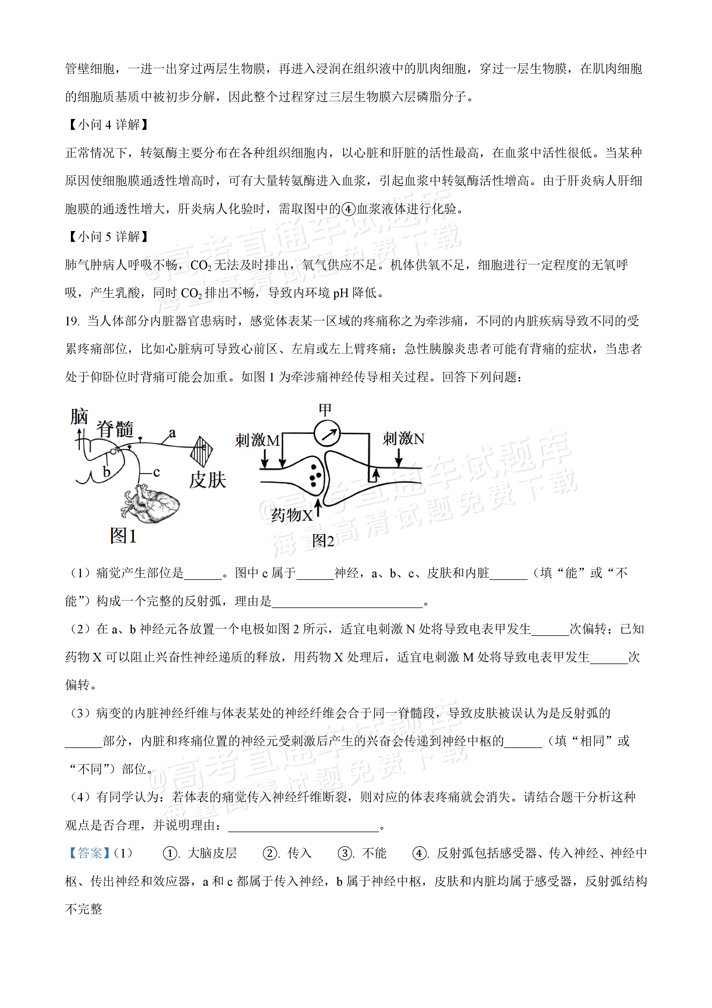 2025海南中学高二11月期中考生物试题及参考答案高考直通车