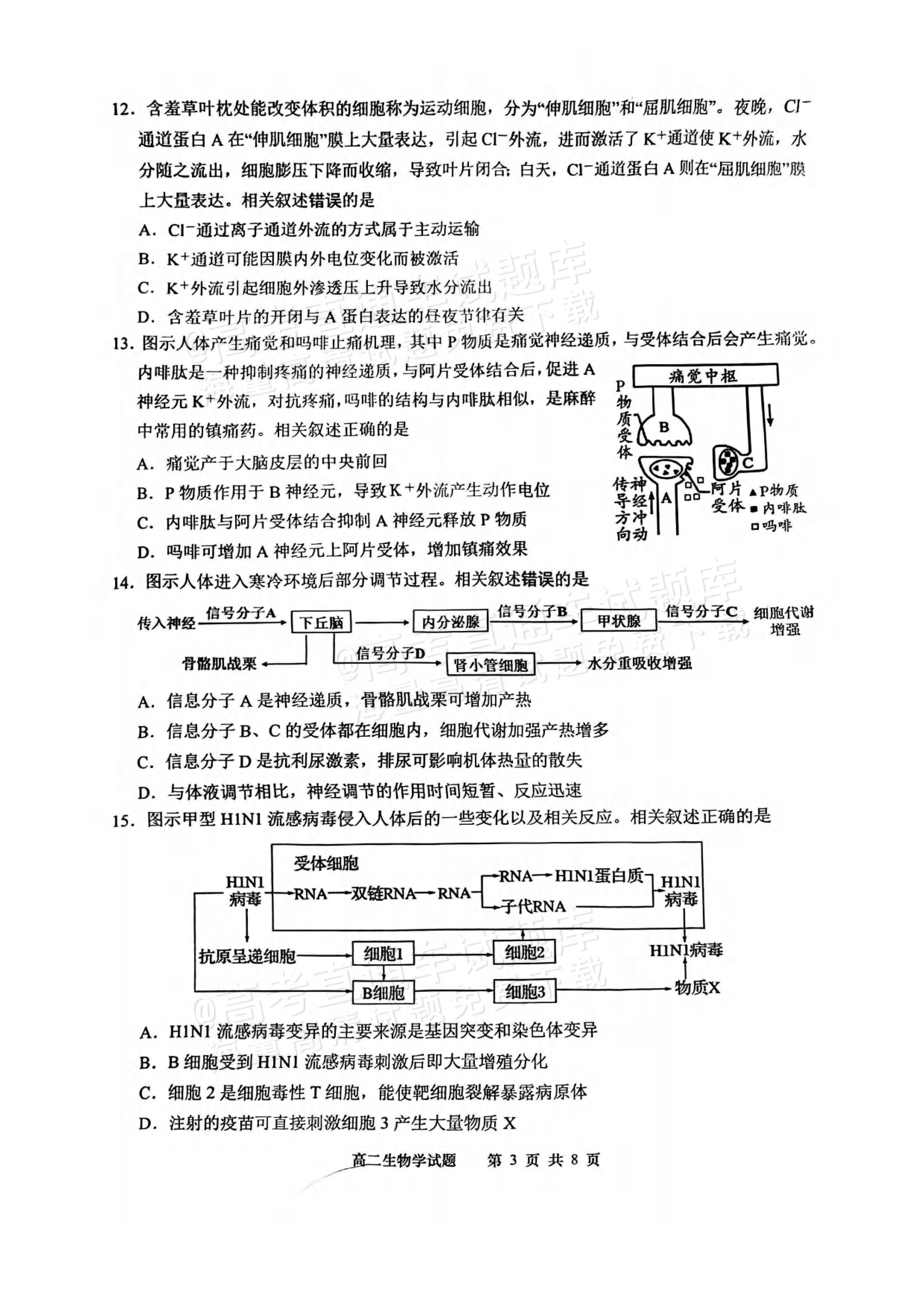 2025江苏南通高二11月期中考生物试题