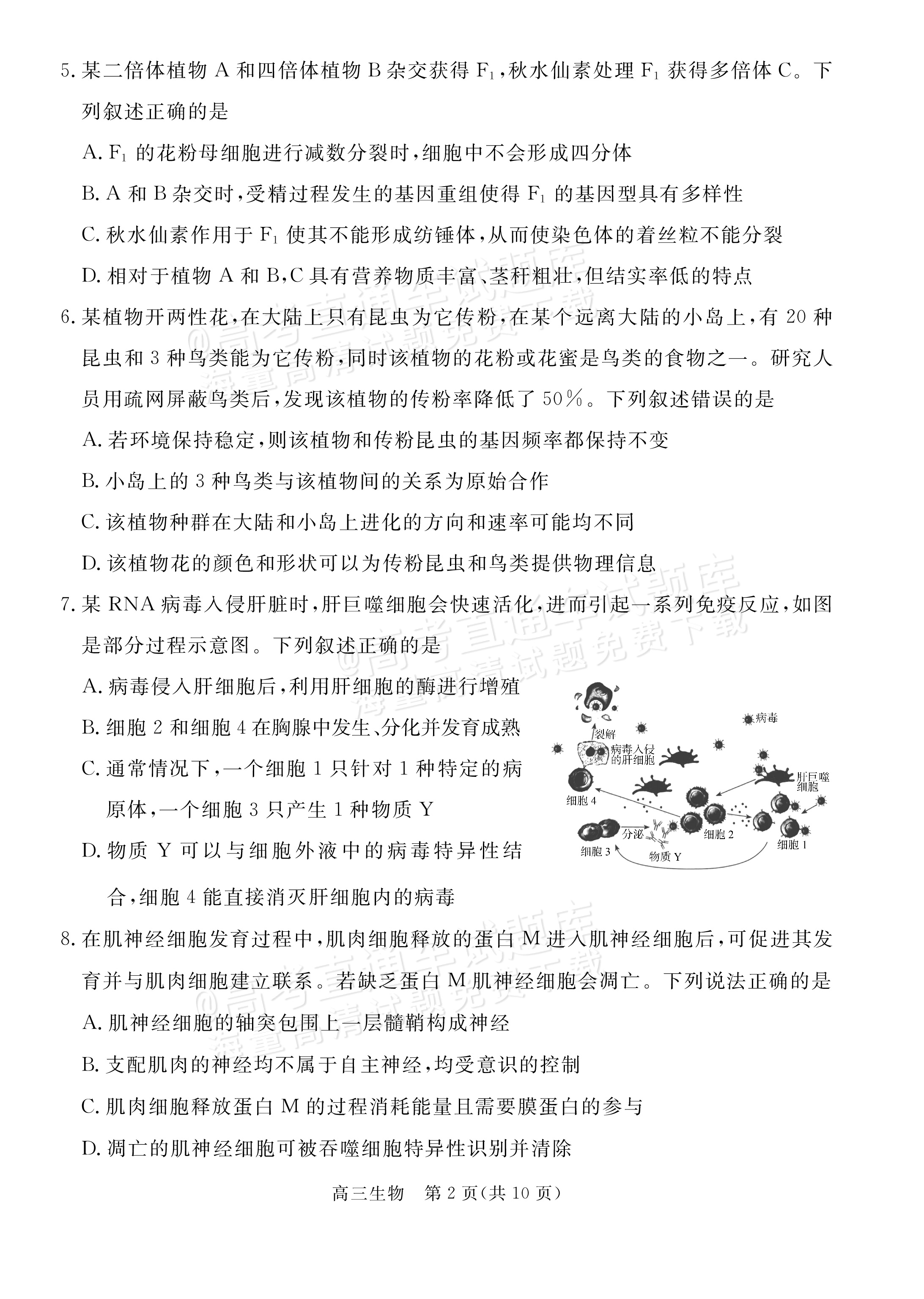 包含高三生物实验专项突破（必考10大实验）的词条