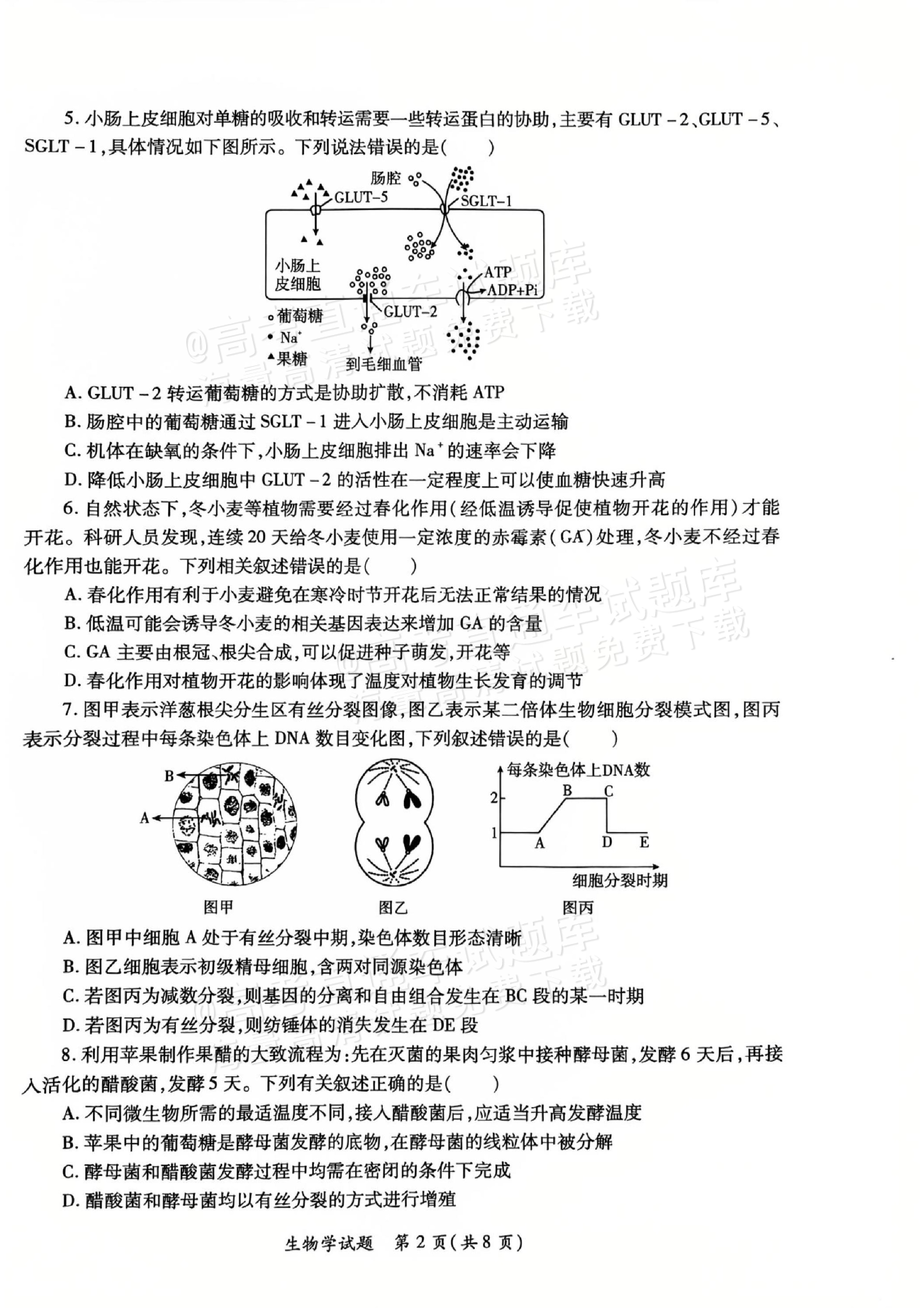 高考生物生态系统综合题突破