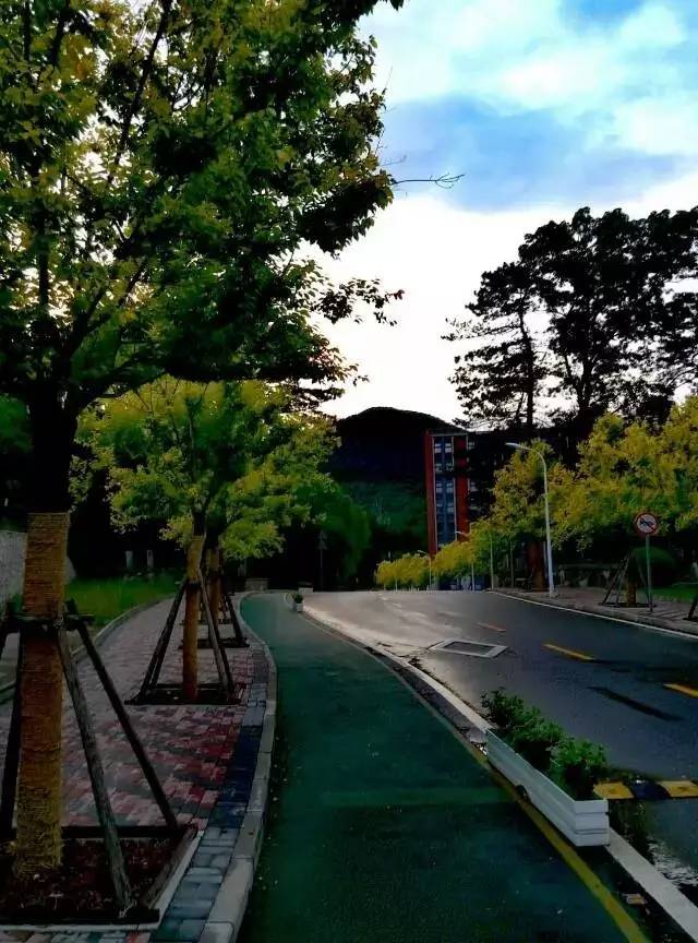 1488685624345753.jpg 35.jpg