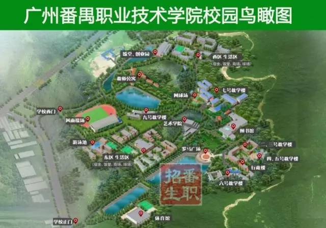 1495737943794334.jpg 12.jpg