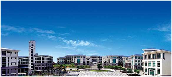 1497177721617015.jpg 6.jpg