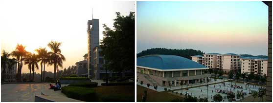 1497177728374358.jpg 4.jpg