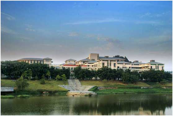 1497177738359403.jpg 3.jpg