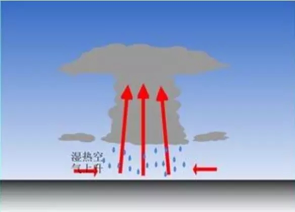 1504250558122807.jpg 640.webp.jpg