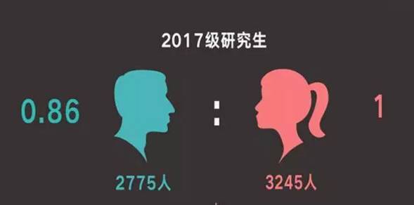 1504624370528177.jpg 06.jpg