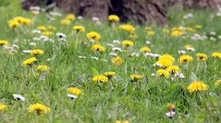 1504860846640952.jpg 640.webp (11).jpg