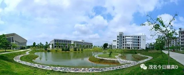 1508230002478811.jpg 7.jpg