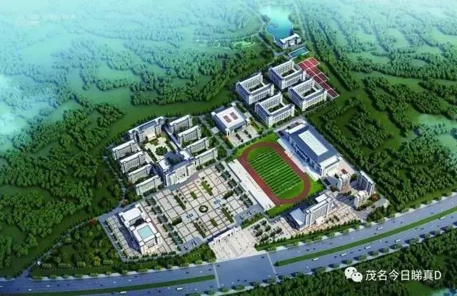 1508230020336648.jpg 8.jpg