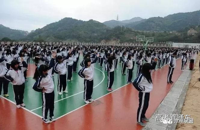 1509964705412256.jpg 17.jpg