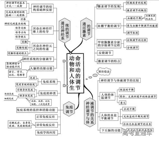 動物和人體生命活動的調節人體的內環境與穩態現代生物進化理論從雜交