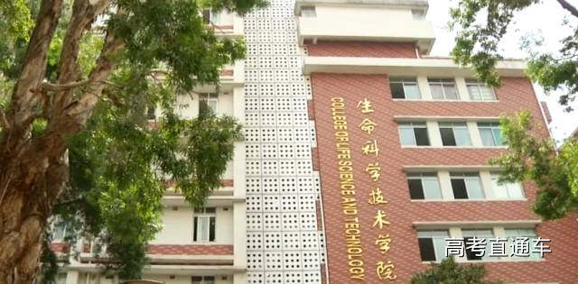 1512663187193786.jpg 05.jpg