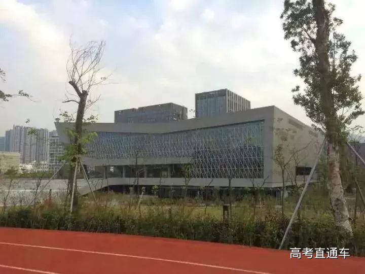 1513044509426384.jpg 3.jpg