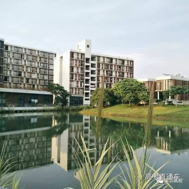 1513044517727042.jpg 4.jpg