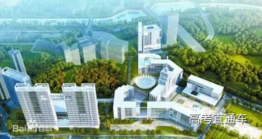 1513044587269818.jpg 15.jpg