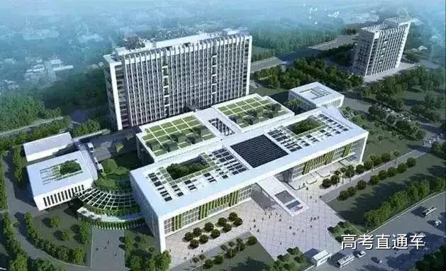 1513044617763041.jpg 19.jpg