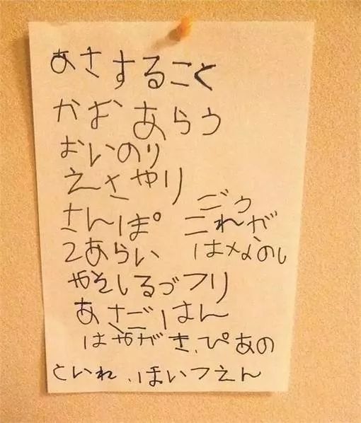 1514870519197551.jpg 17.jpg